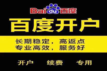 SEM竞价代运营案例：提升广告效果的关键策略